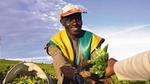 What We Eat Can Nourish The World - Farmer