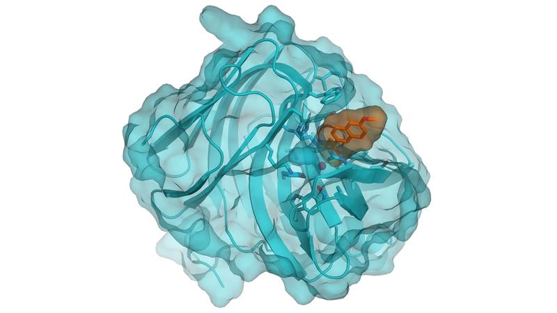 Arzeda computer-designed enzyme