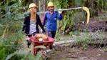Two smallholder farmers walking through oil palm plantation in Indonesia, woman pushing barrow, man carrying cutting tool