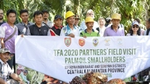 palm oil and the environment