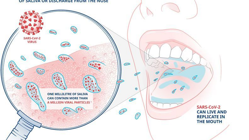 A diagram illustrating how the virus that causes Covid-19 is spread primarily through droplets of saliva