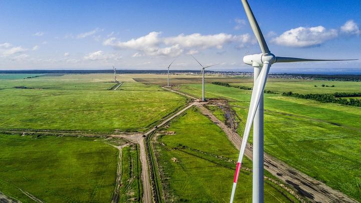 Renewable Grid Electricity