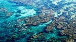 Image of a coral reef from the air