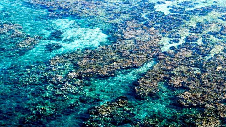 Image of a coral reef from the air