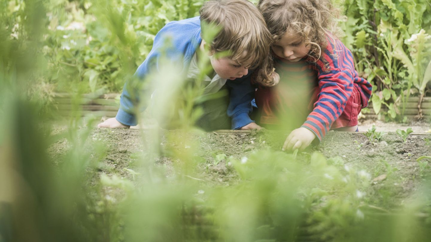 Two children looking at soil