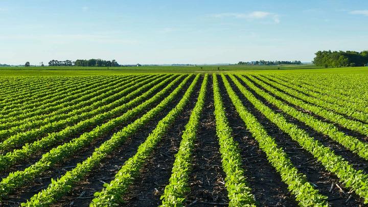 World Soil Day