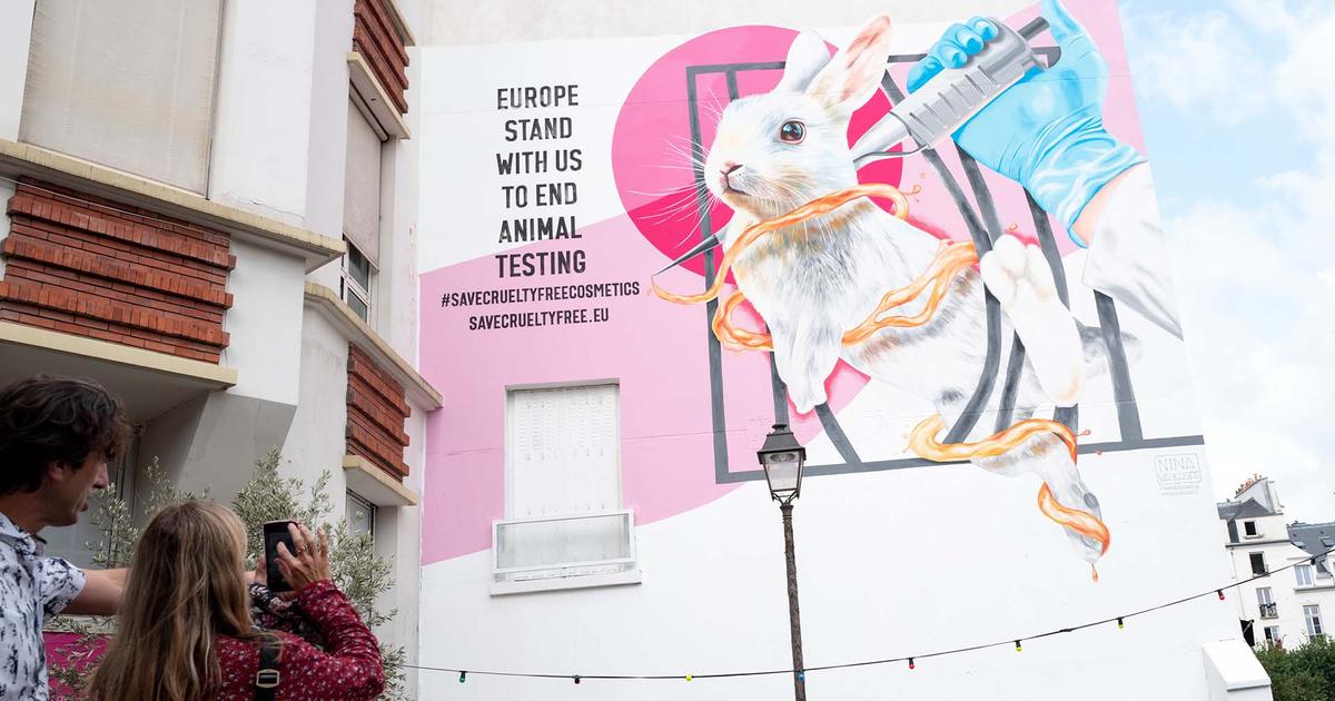 Supporting a future global ban on animal testing for cosmetics | Unilever