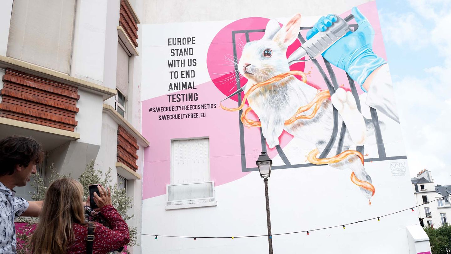 Street art in Paris calling on EU citizens to help protect the ban on animal testing for cosmetics.