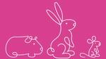 White text reading Save Cruelty Free Cosmetics on a pink background, with a line-drawn rabbit on the left.
