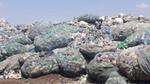 Bags of plastic waste