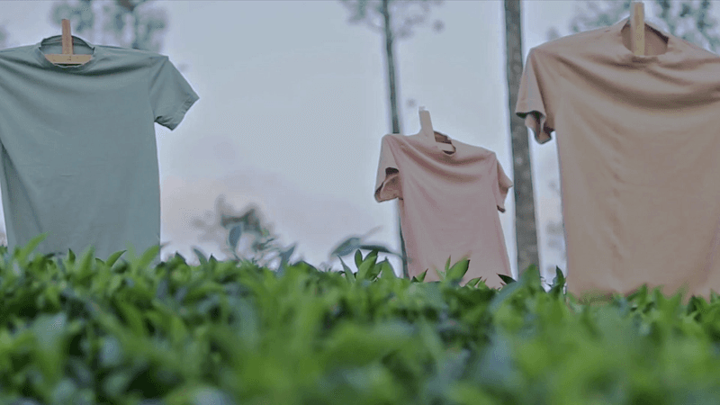 T-shirts in a field