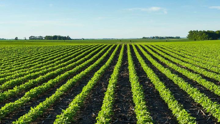 World Soil Day