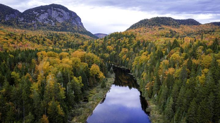 Aerial view of a river snaking through a dense forest on both banks with mountains in the distance