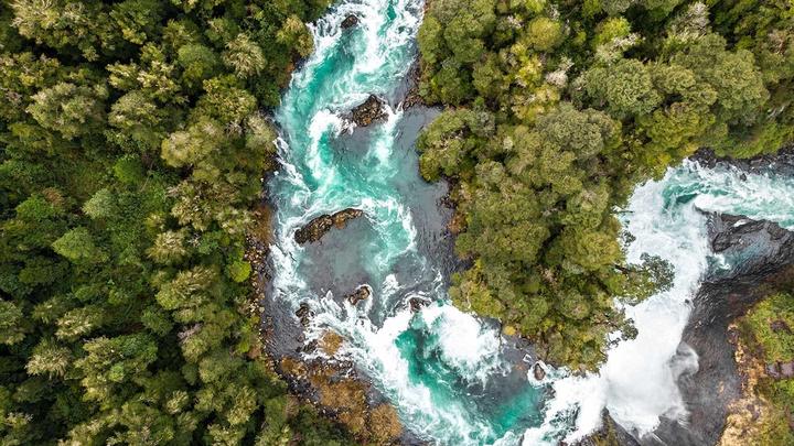 Forest river