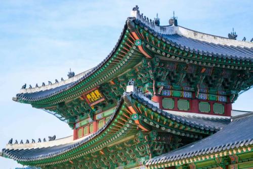 Sør Korea og Japan – 22 dager – bilde 1