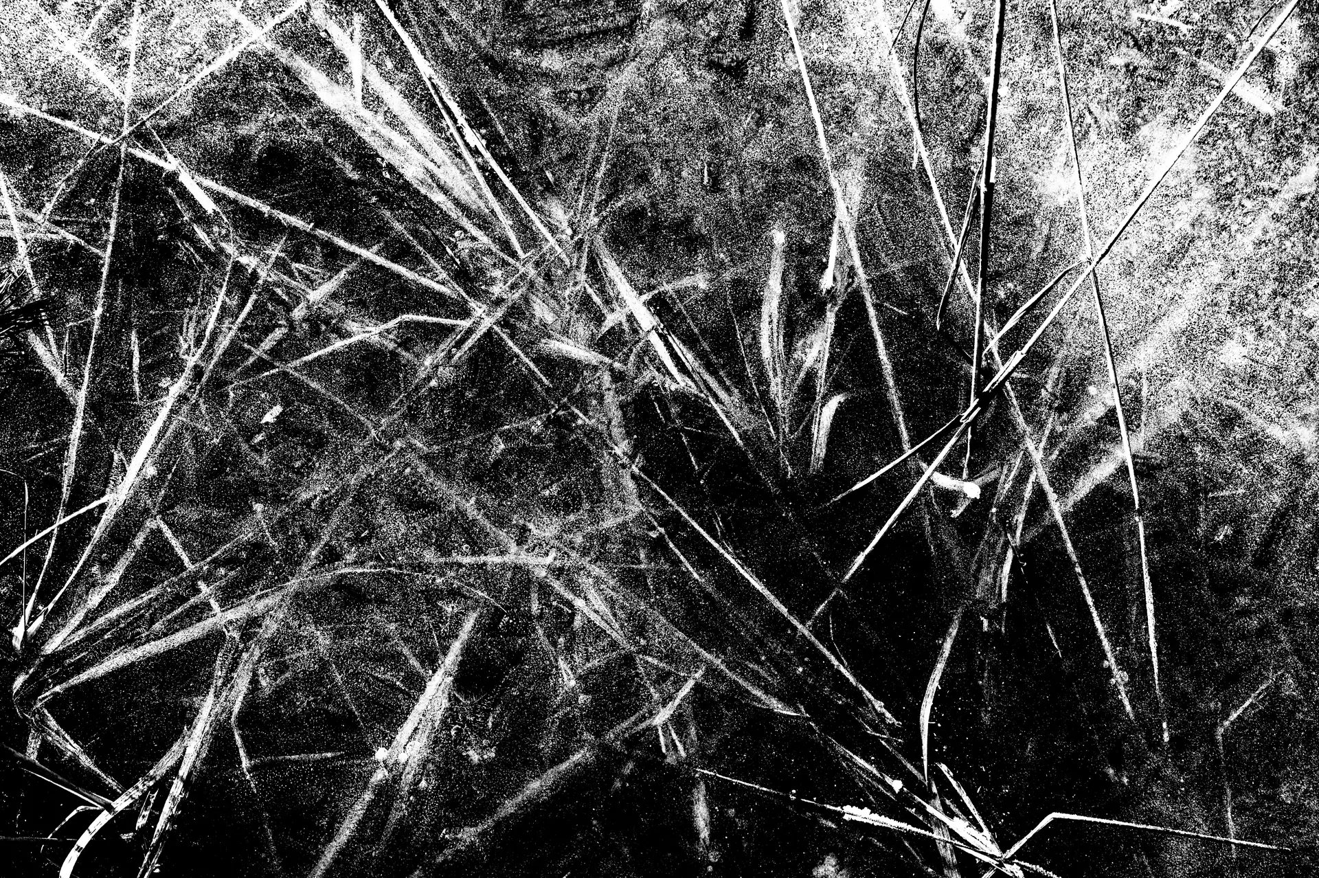 Úvodní fotografie art portfolia