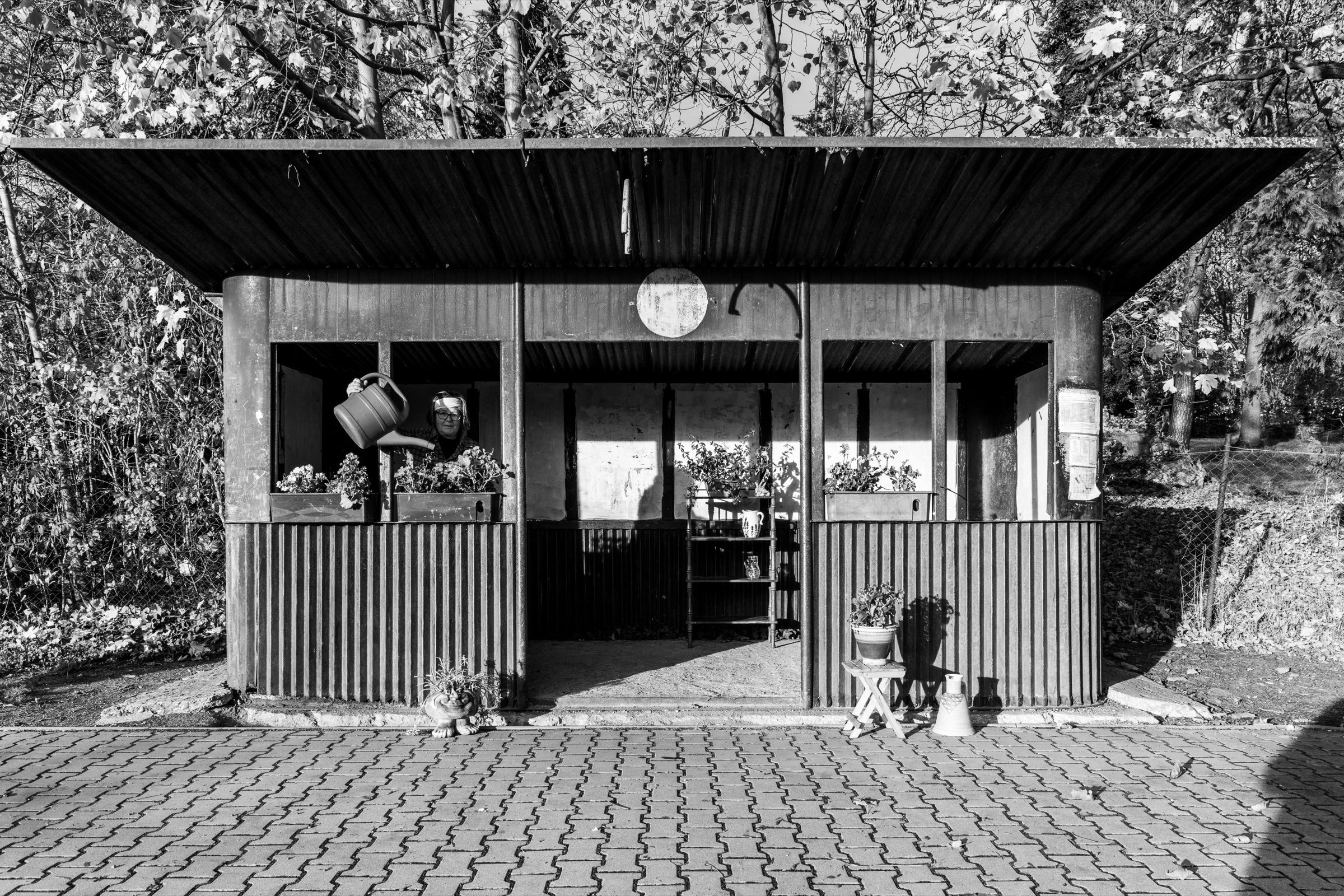 Život na autobusové zastávce – fotografie 11
