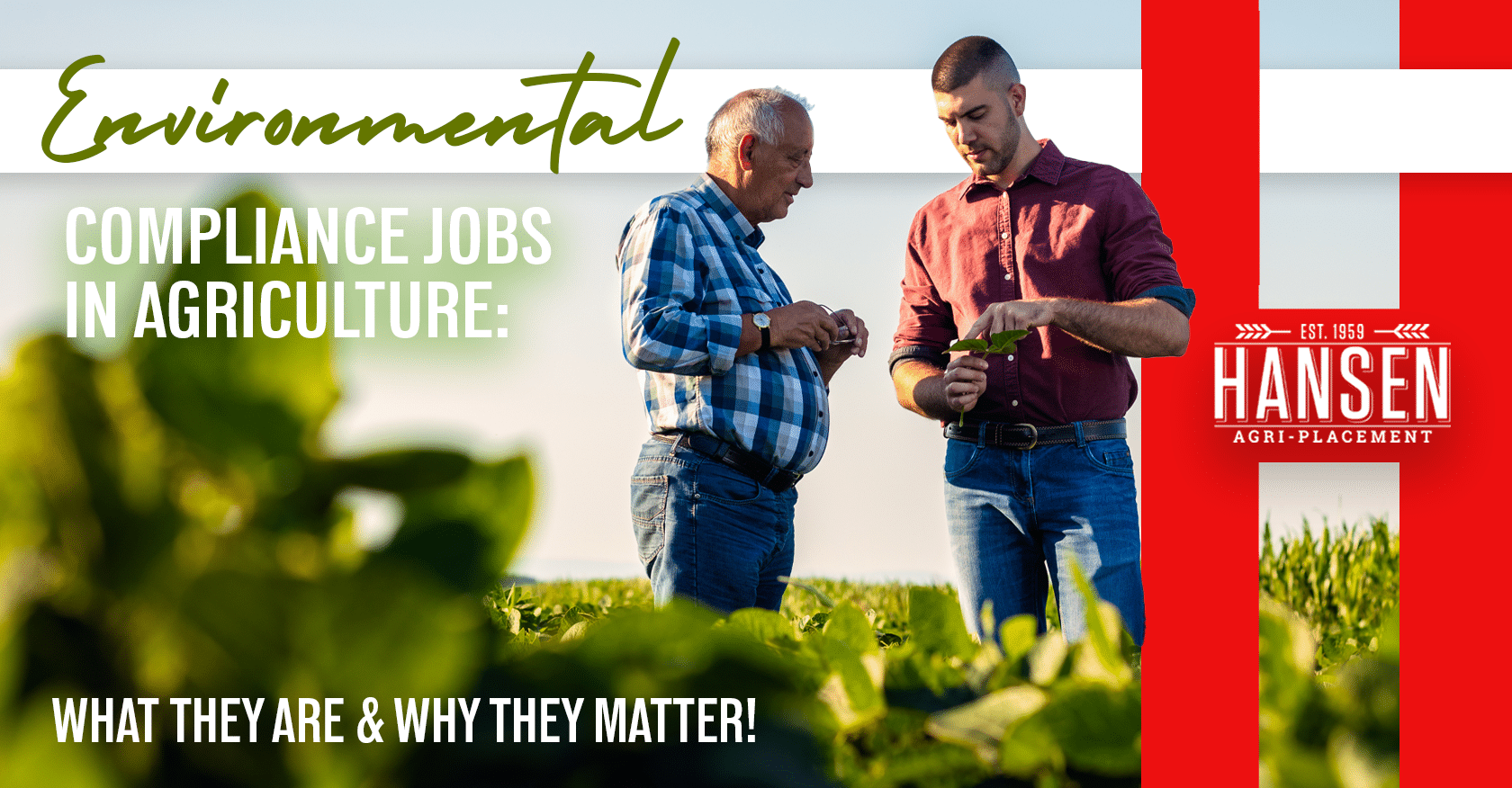 Environmental Compliance Jobs in Agriculture: What They Are & Why They Matter