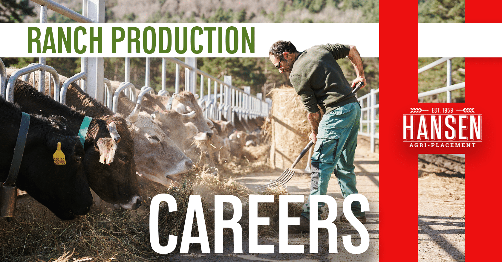 Ranch Production Careers: Nurturing the Heart of Agriculture