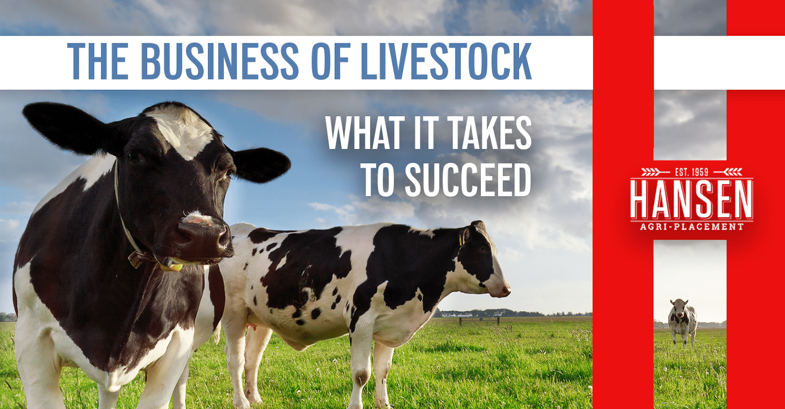The Livestock Industry: What It Takes to Succeed