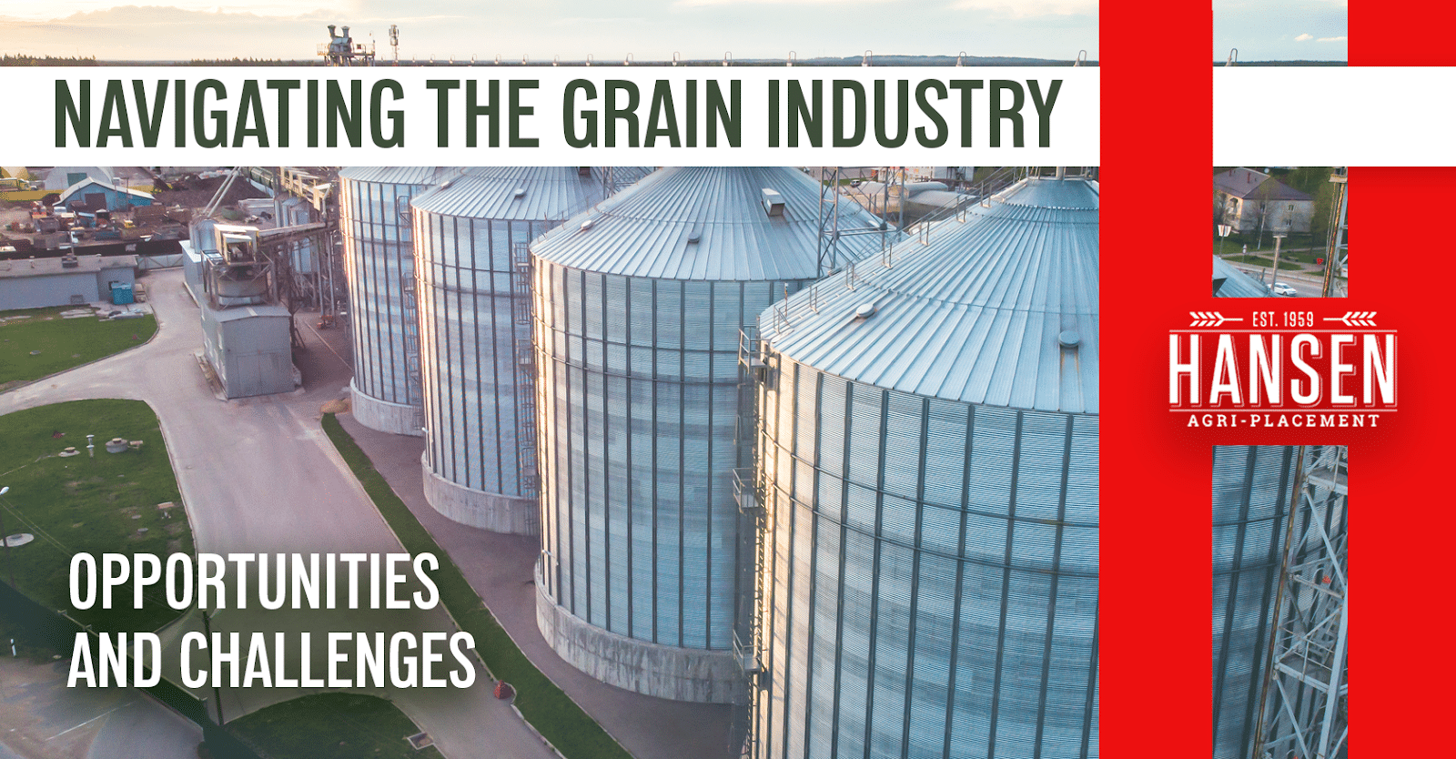 Navigating the Grain Industry: Career Paths and How to Stand Out