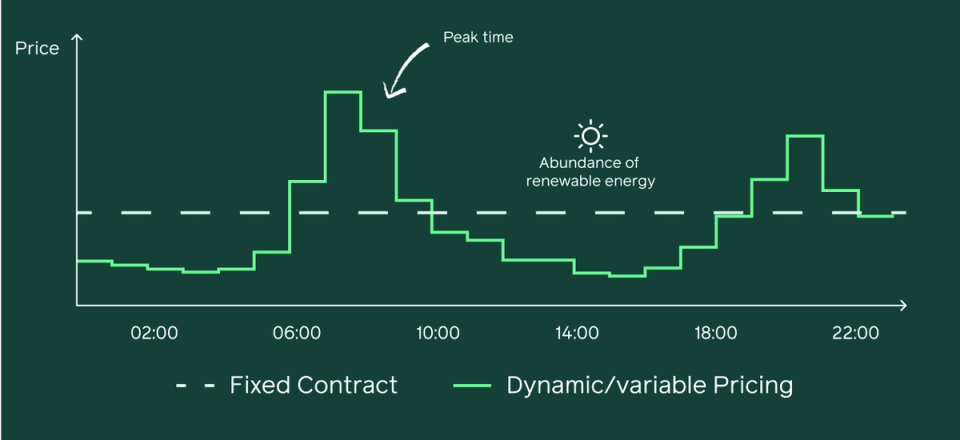 Graph showing fixed electricity contract pricing (flat line) versus dynamic pricing (fluctuating line) throughout a 24-hour day, demonstrating how dynamic tariffs vary with supply and demand