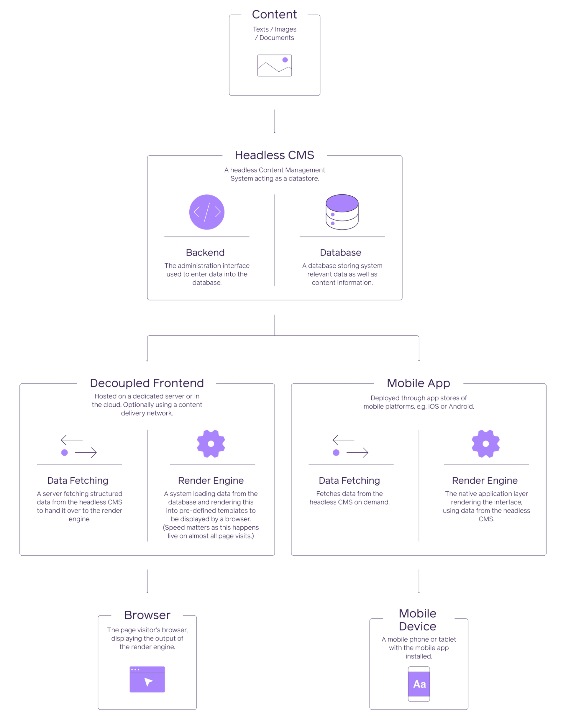 The headless CMS