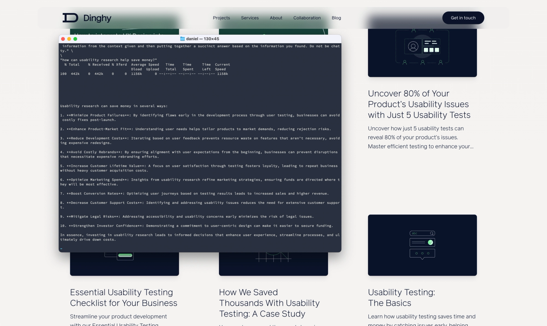 Screenshot of LLM running in Terminal
