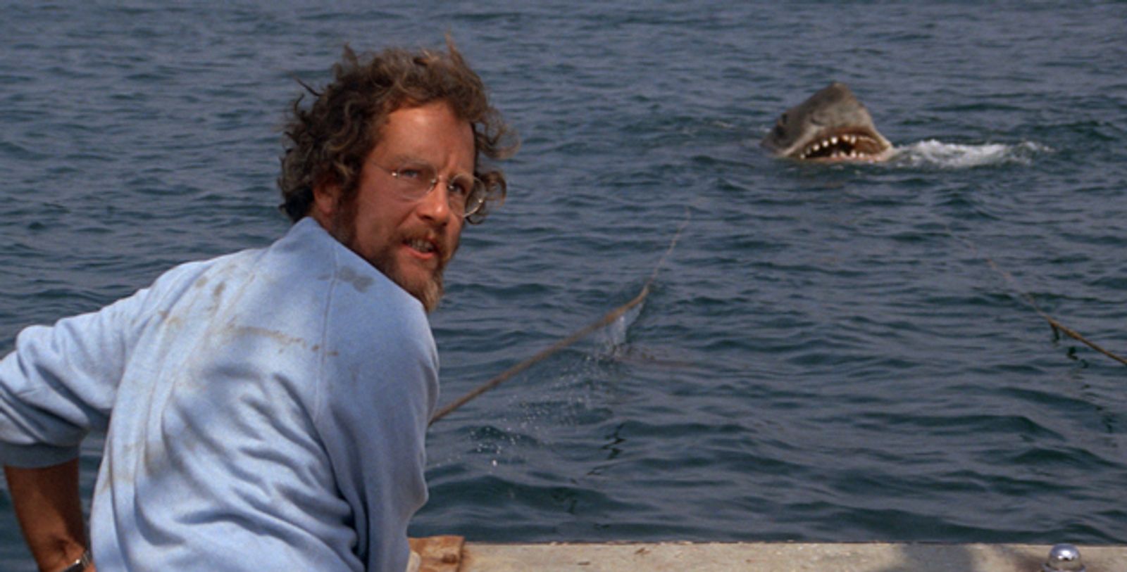 Breaking Down Jaws Using Save the Cat