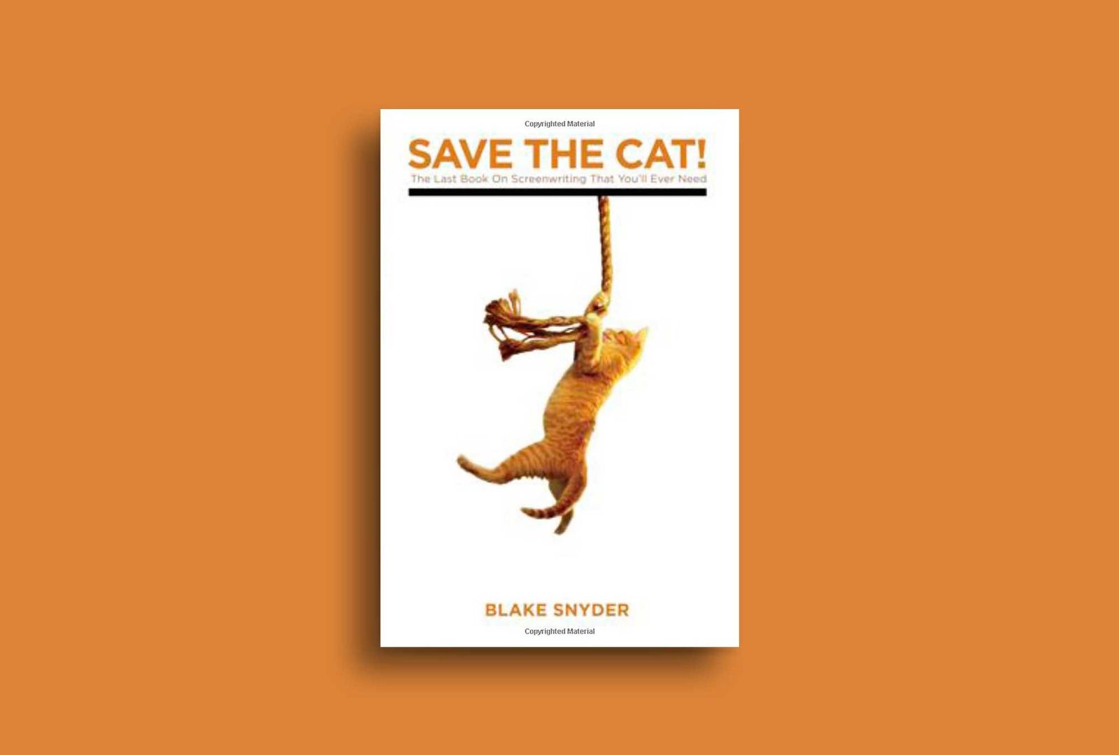 The Save the Cat book.
