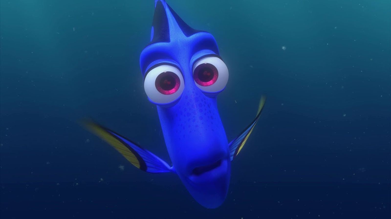 Dory in Finding Nemo.