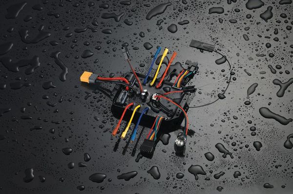 Potted electronics with fly-leads