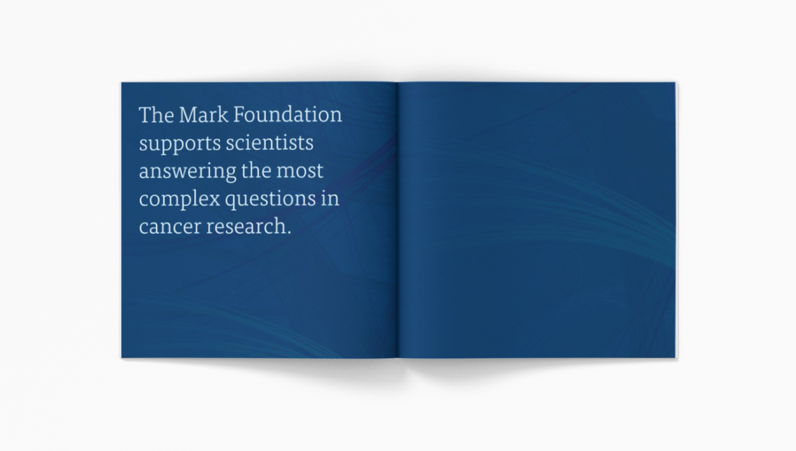The Mark Foundation - 6