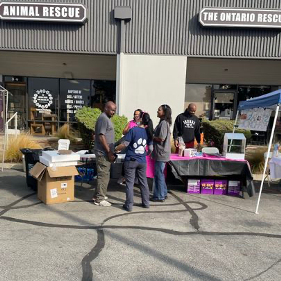 W.I.N.G Foundation event highlight