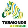 TV5 Monde Afrique