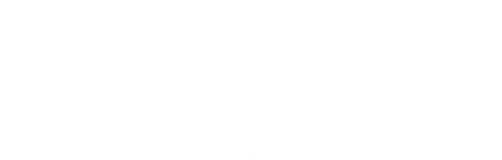 Pizza V
