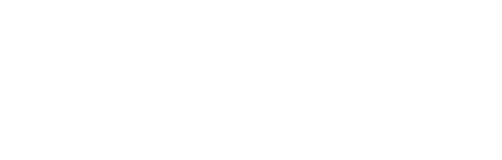 Pizza V