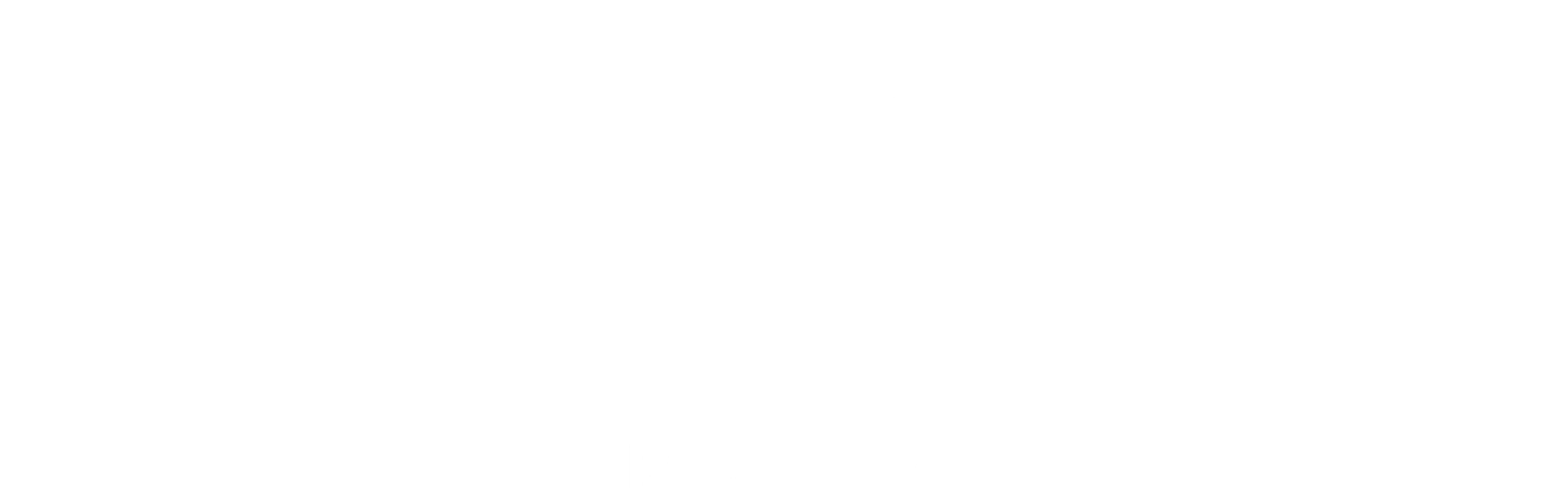 Pizza V