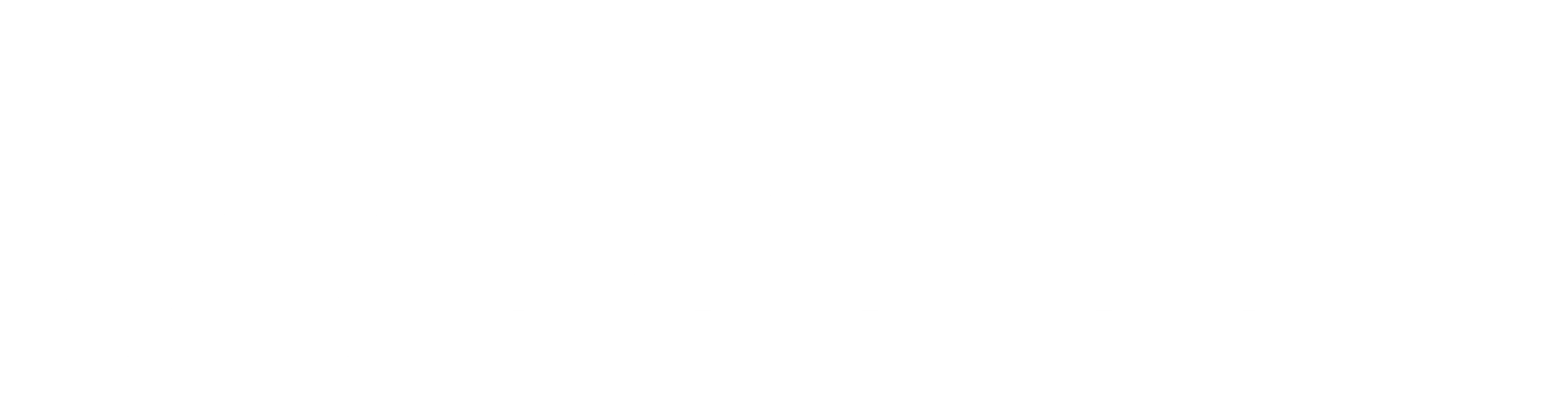 ASELSAN