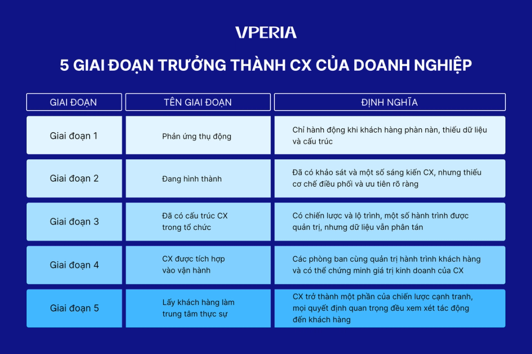 5 giai đoạn trưởng thành cx của doanh nghiệp