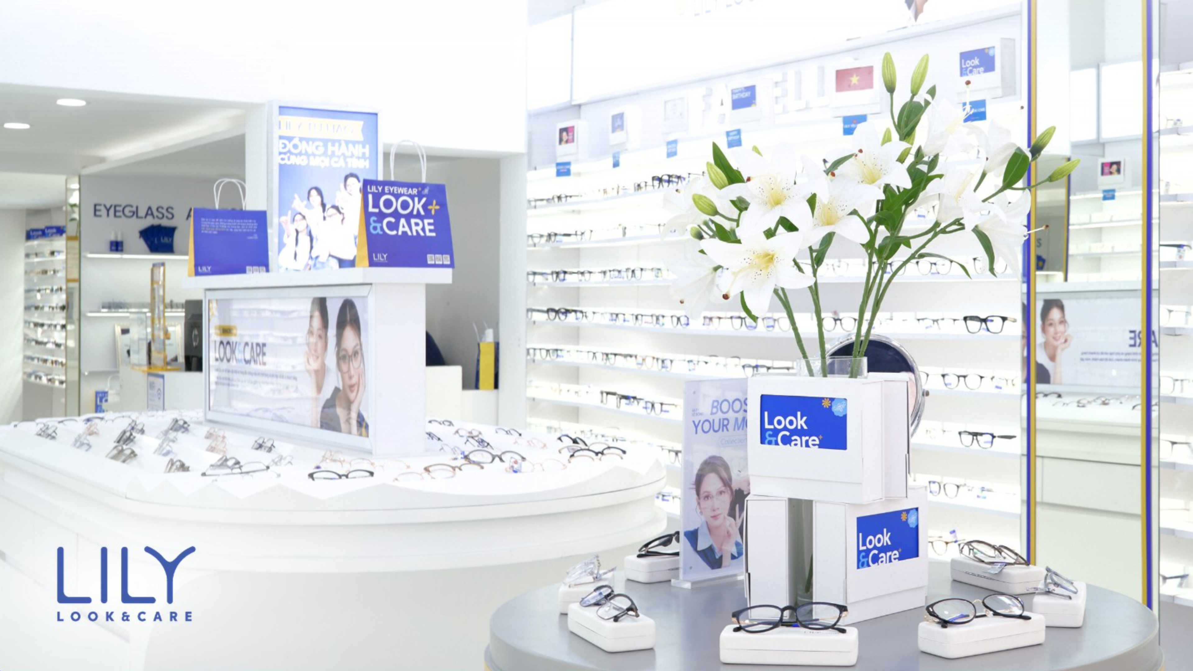 Case study kính mắt Lily