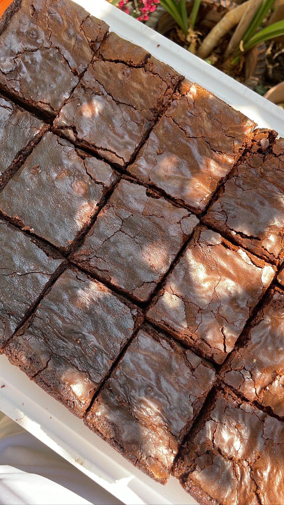 Brownie Fudgy - Image 1