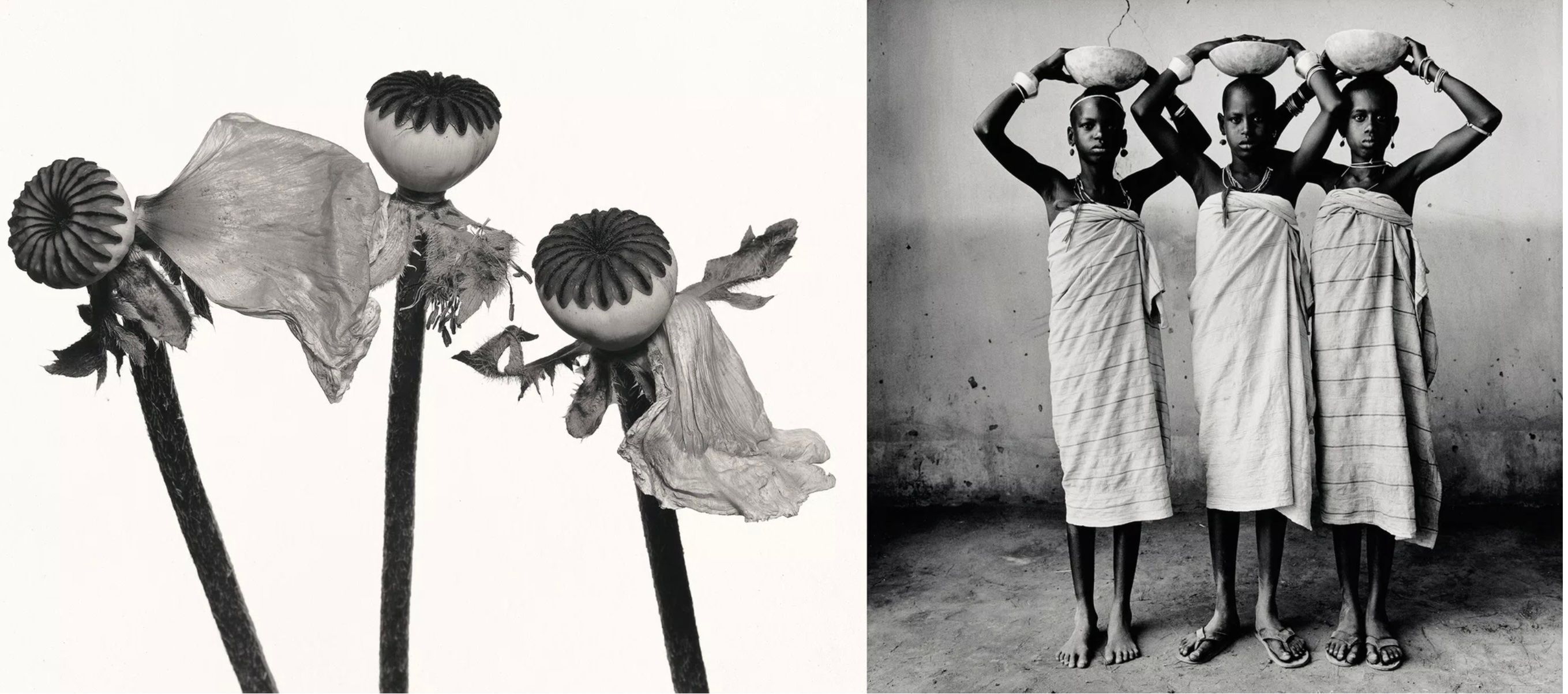 Irving Penn: Kinship, Curated by Hank Willis Thomas 