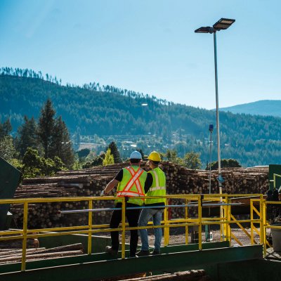 two construction workers are standing on a bridge overlooking a pile of logs .