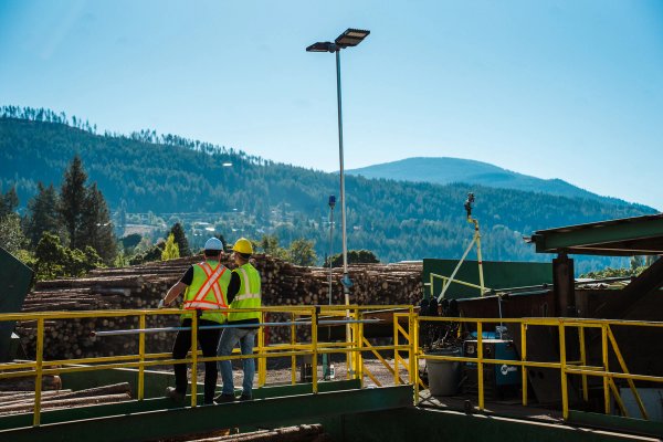 two construction workers are standing on a bridge overlooking a pile of logs .