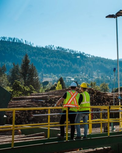 two construction workers are standing on a bridge overlooking a pile of logs .