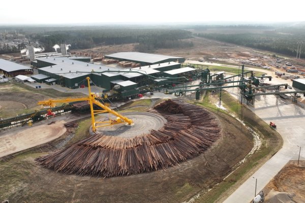 an aerial view of a large pile of logs sitting on top of a hill .