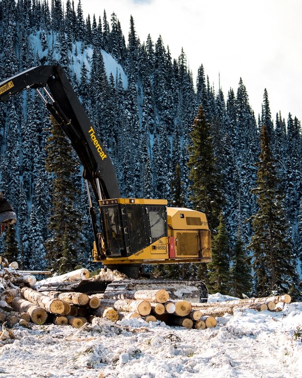 a large excavator is moving logs in the snow in a forest.