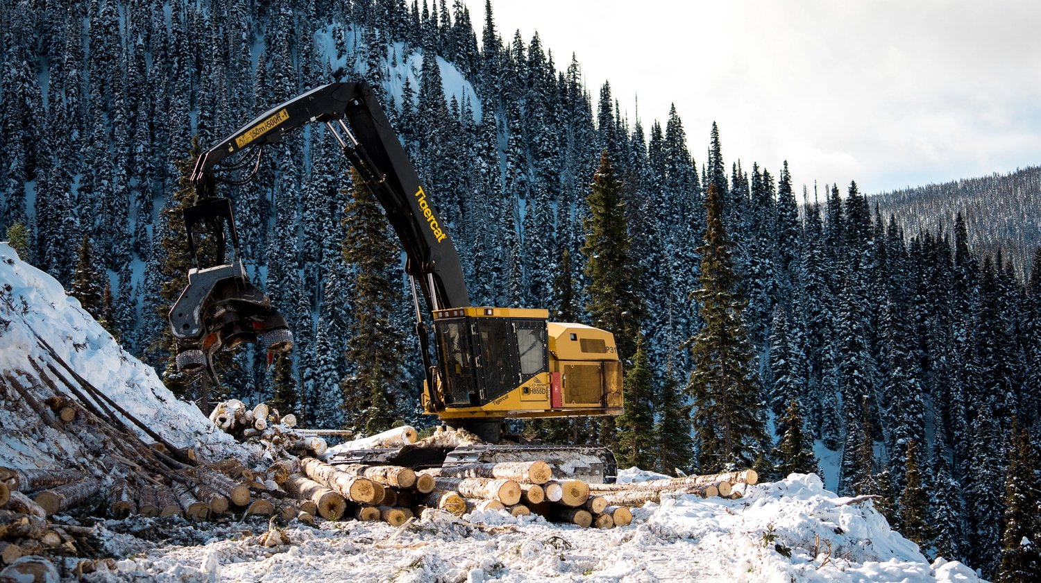 a large excavator is moving logs in the snow in a forest.
