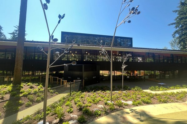 a large building with a lot of windows and trees in front of it .